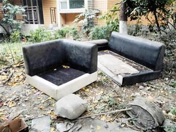 当旧家具栖住新邻居 租客夜间丢弃废品，却招来野猫耗子的寓言
